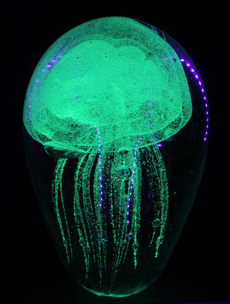 glow-in-the-dark desk ornament of a jellyfish illuminated by UV lights