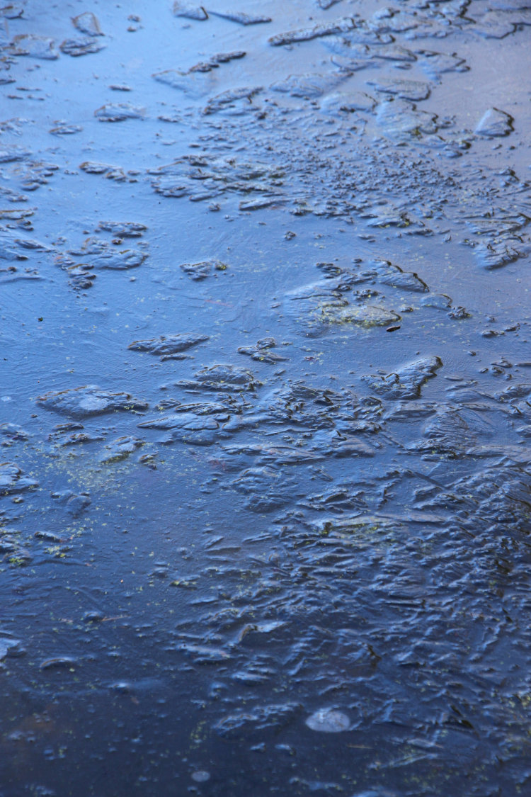 very rough ice on pond reflecting blue sky