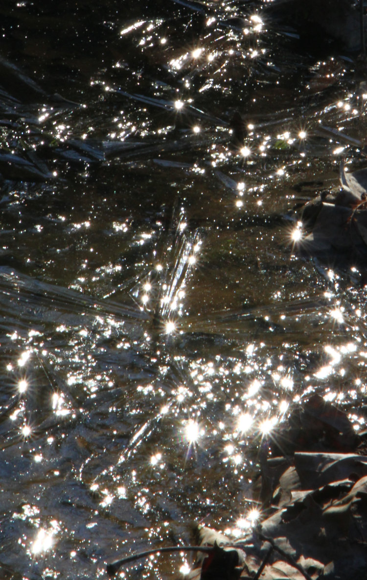 sun reflections on thin rough ice on pond