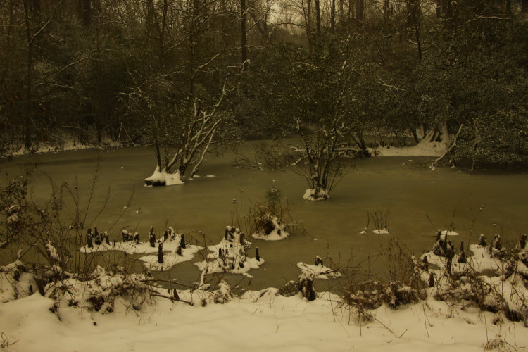 time exposure of snow on pond of Walkabout Estates at midnight