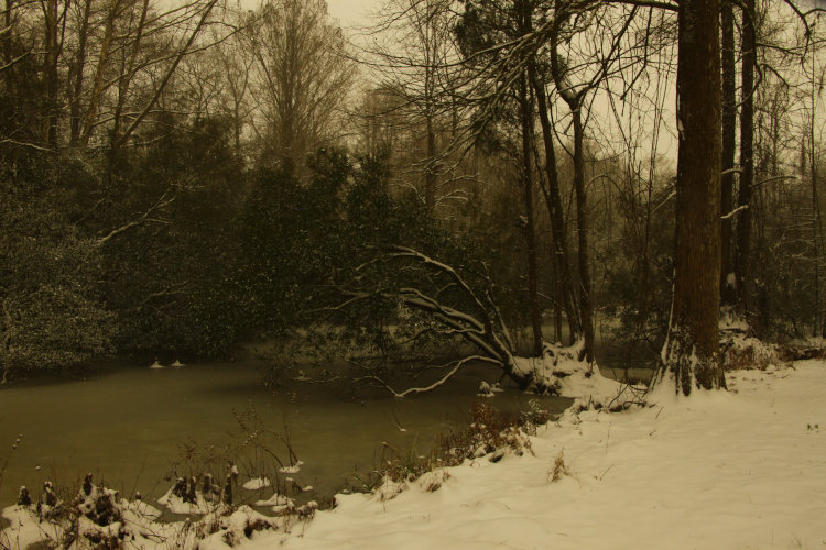 time exposure of snow on pond of Walkabout Estates around midnight