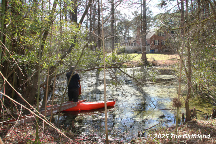 author standing in kayak attaching wood duck nest box to tree overhanging pond