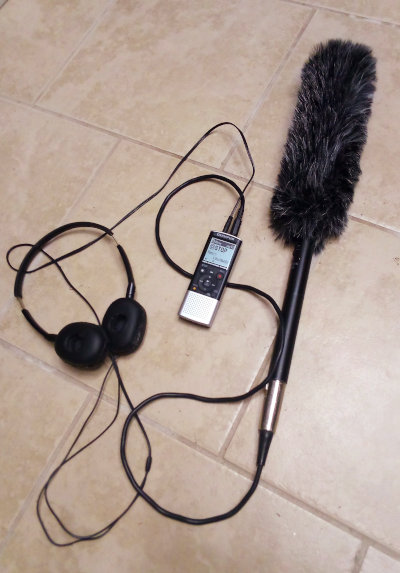 Olympus VN-8100PC digital voice recorder and Azden SGM-2X unidirectional microphone with 'dead cat' wind guard