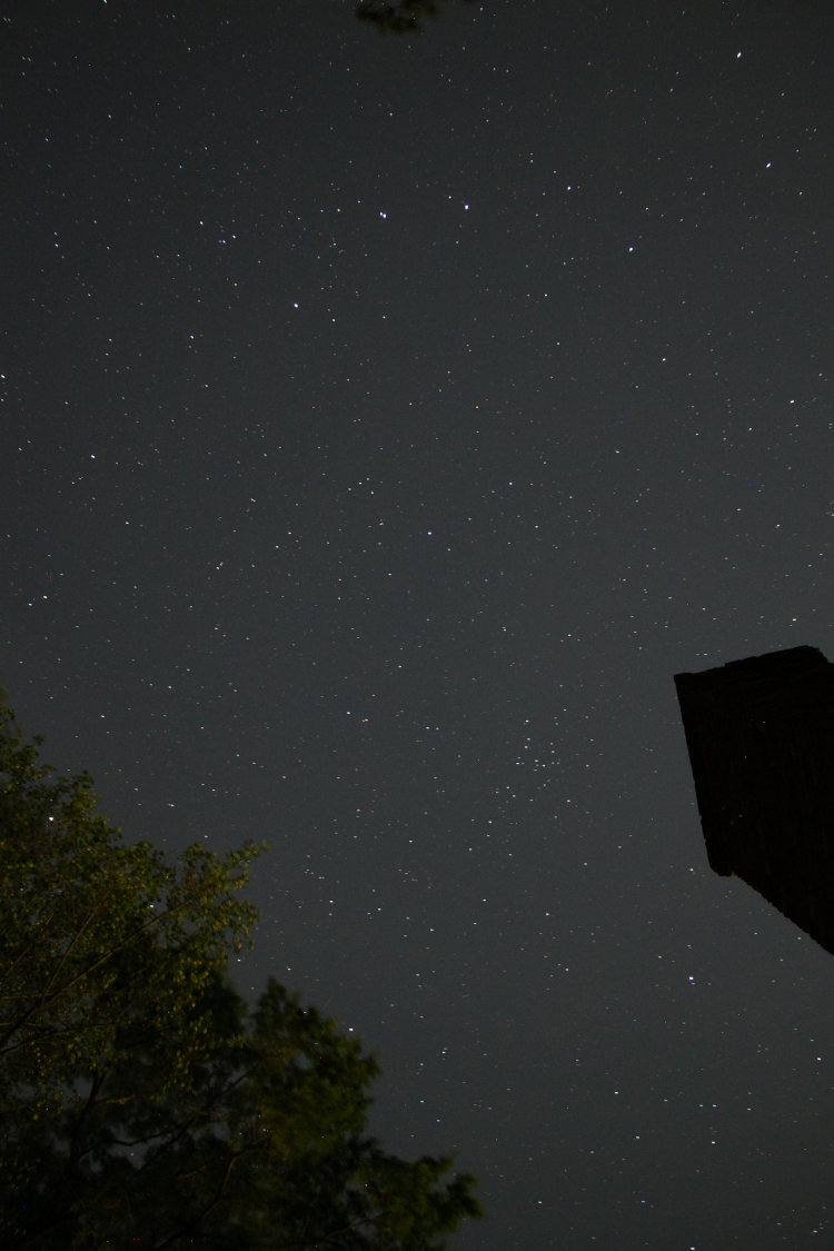 shot of night sky showing Ursa Major, Denebola, and Arcturus through trees