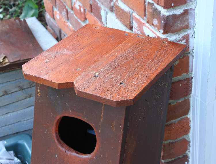 new roof panels on wood duck nest box