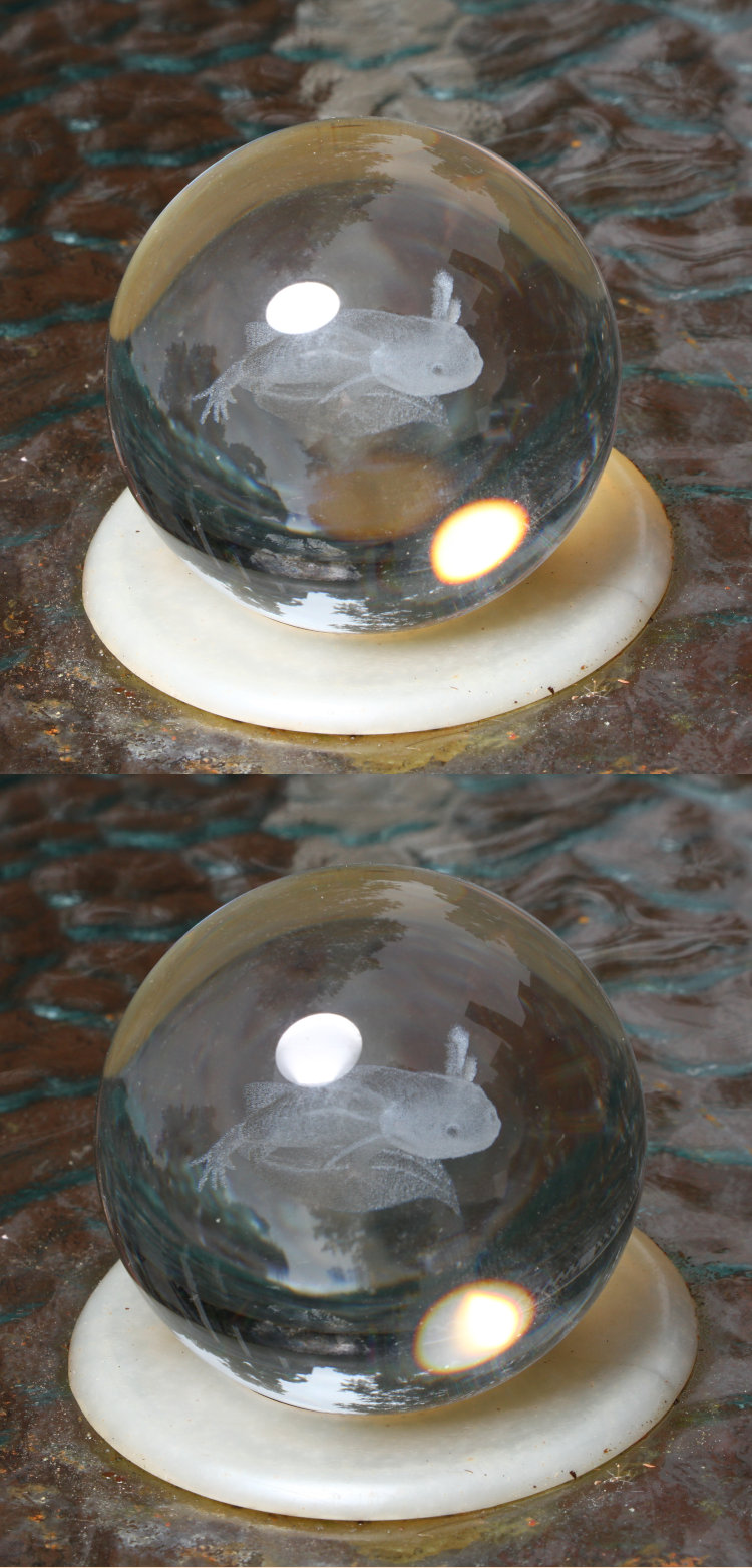 pair of images comparing reflections from new and old macro softbox designs