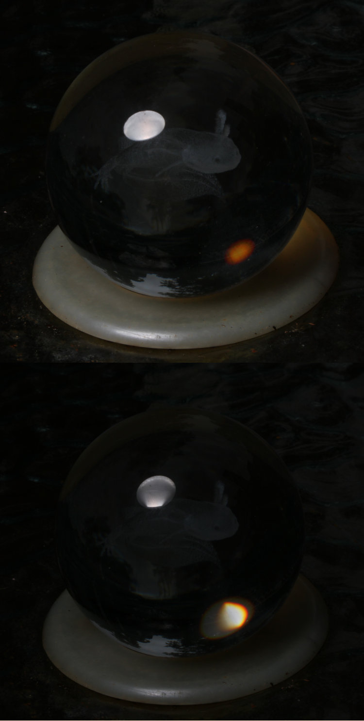 pair of underexposed images comparing reflections from new and old macro softbox designs