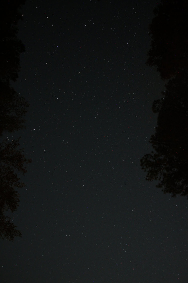 night sky exposure centered largely on Pegasus