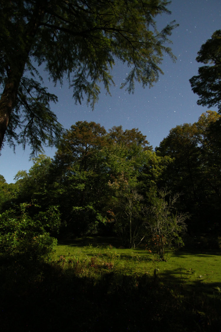 time exposure of Turtle Island and portion of night sky by moonlight
