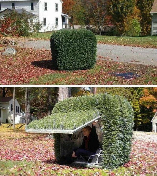 small cubby disguised as bush, from unknown online source