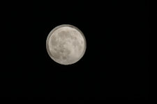 second-quarter 'full' moon very close to perigee, 'super moon,' overlaid with same phase very close to apogee, roughly the size they would appear to the naked eye