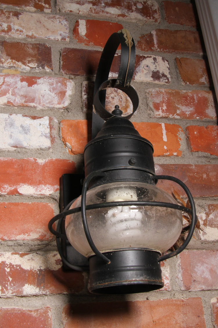 Carolina anole Anolis carolinensis asleep across top hanger of porch lamp