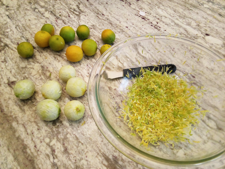 collection of Key limes Citrus × aurantiifolia being zested