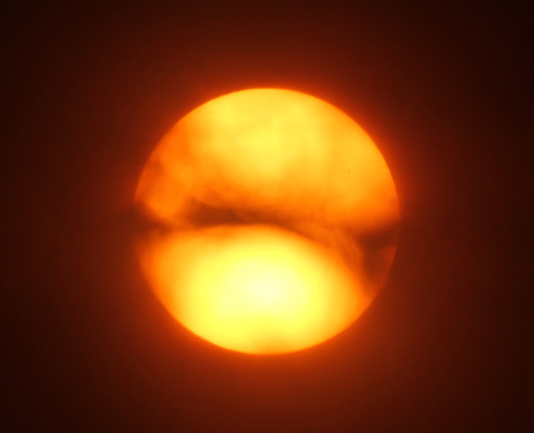 sun through solar filter and far too many intervening branches