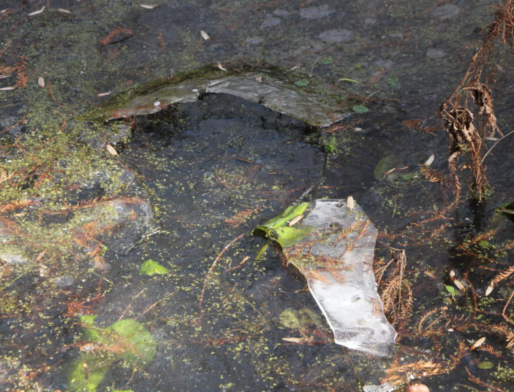 ice on pond broken from underneath
