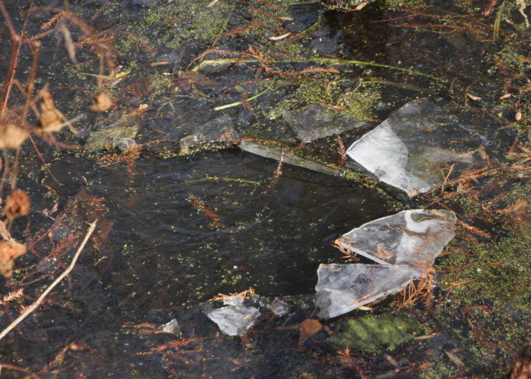 ice on pond broken through from the underside