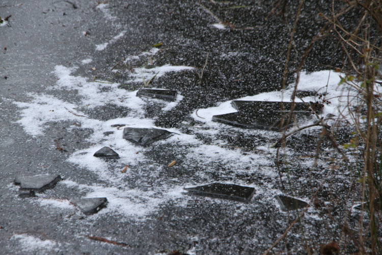 broken ice plates refrozen to surface after something broke through