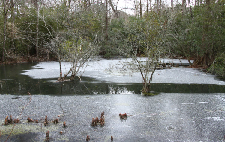 Turtle and Unnamed Islands in the backyard pond with minimal ice presence.
