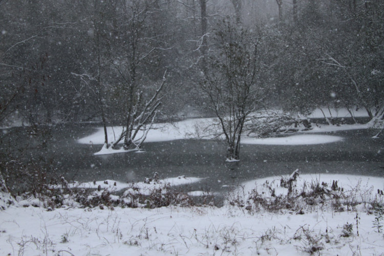 Turtle and Unnamed Islands in backyard pond during heavy snowstorm