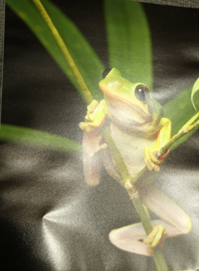 11x14 print kinked in two places by being bent to fit into mailbox