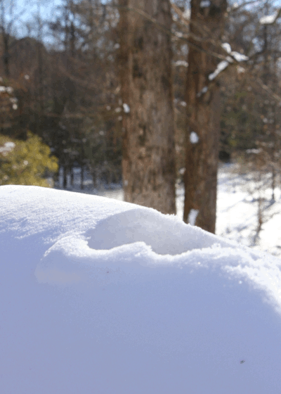 animated gif of steaming tea mug buried in snow