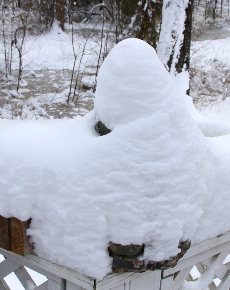 frog fountainhead removed from the Puddle, now totally obscured under thick snow
