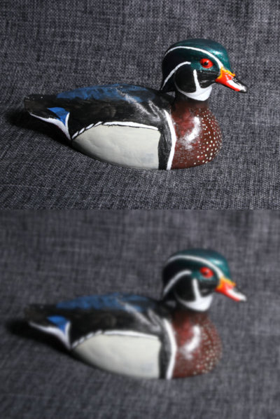 combined image of focused and unfocused duck decoy