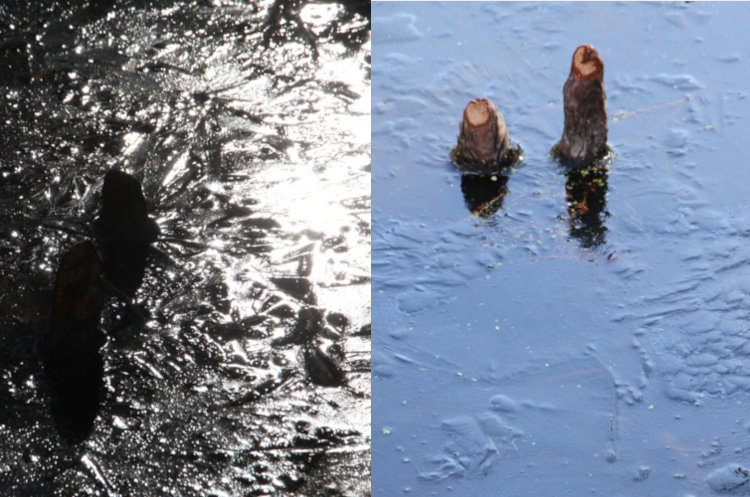 two images of ice surface from different angles showing widely varied reflections