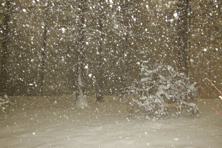 time exposure of backyard at night during snowstorm with flash illuminating the snow in the air