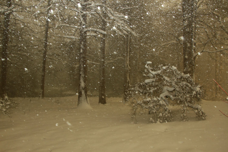 time exposure at night during snowstorm with flash angled higher to illuminate the falling snow