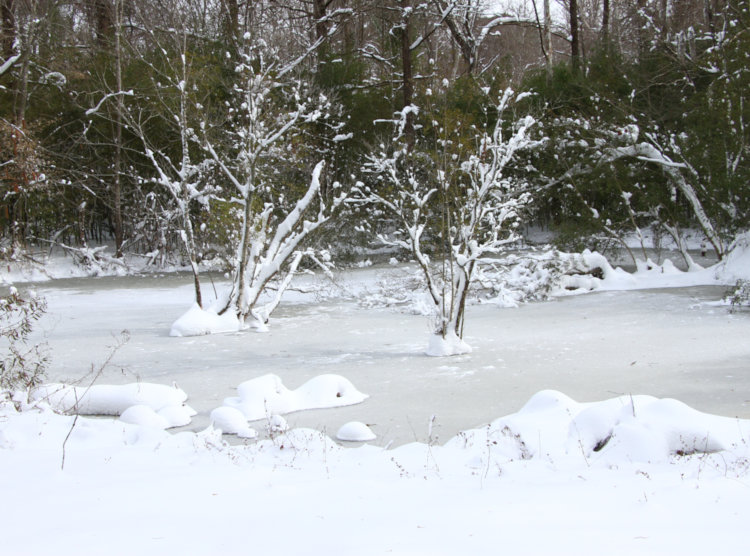 Turtle and Unnamed Islands in backyard pond now frozen over and heavily coated with snow