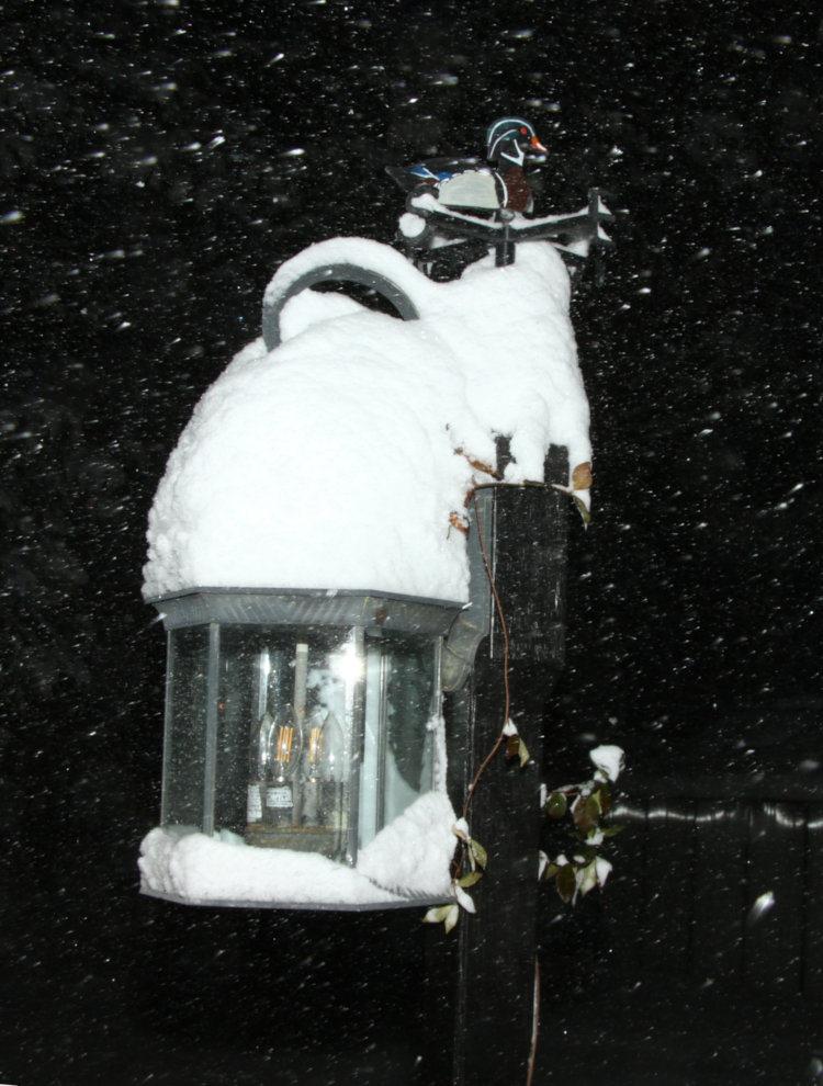 weathervane and walkway lamp under heavy coating of snow still falling