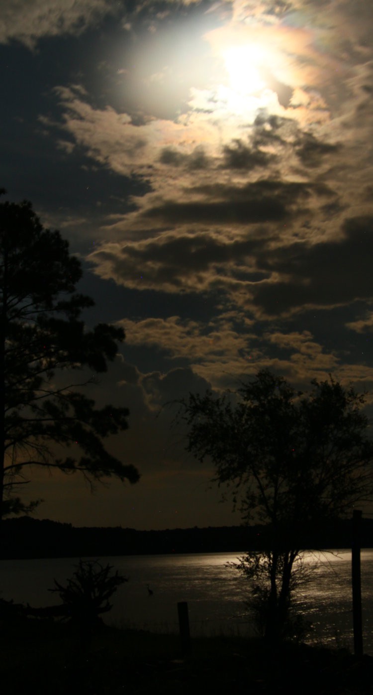 moonlight through scattered clouds over Jordan Lake with heron