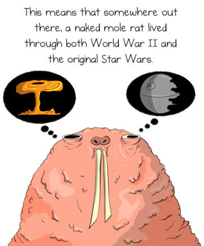 panel from "We need to talk about naked mole rats" by The Oatmeal, Matthew Inman