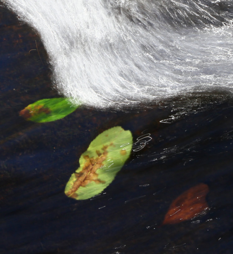 squiggles of bright sunlight reflections during longer time exposure