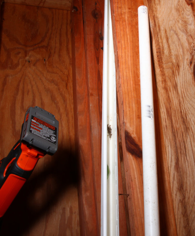 green treefrog Dryophytes cinereus tucked into J-channel within garage