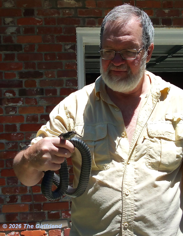 eastern racer Coluber constrictor held by author; pic by The Girlfriend
