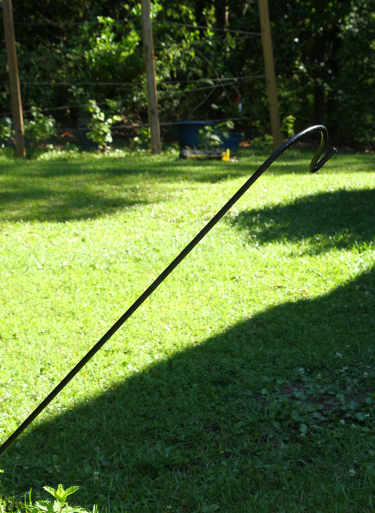 bent over crook with formerly attached bird feeder in background