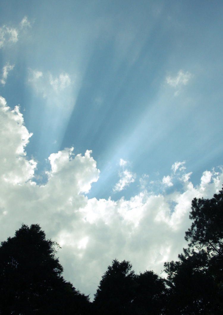 crepuscular rays around rumpled clouds in late afternoon