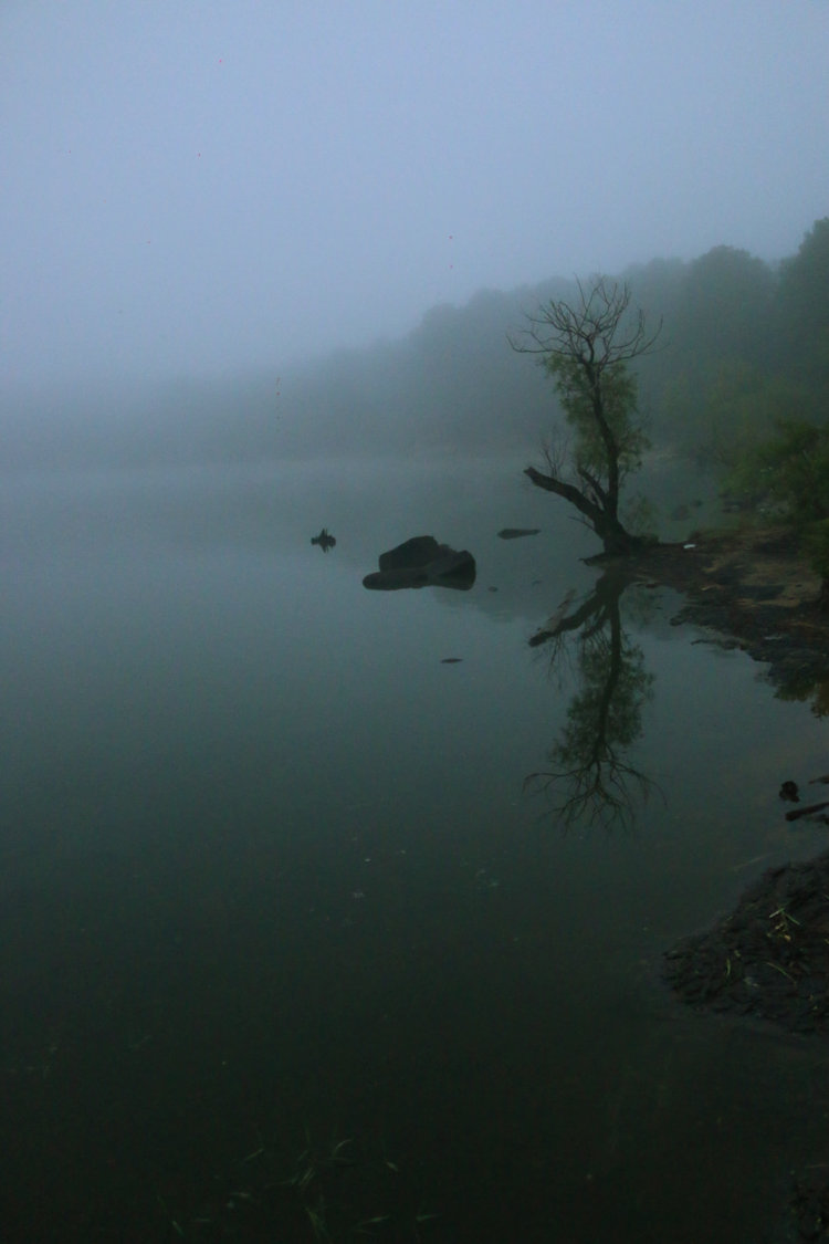 Jordan Lake shoreline before dawn in thick fog