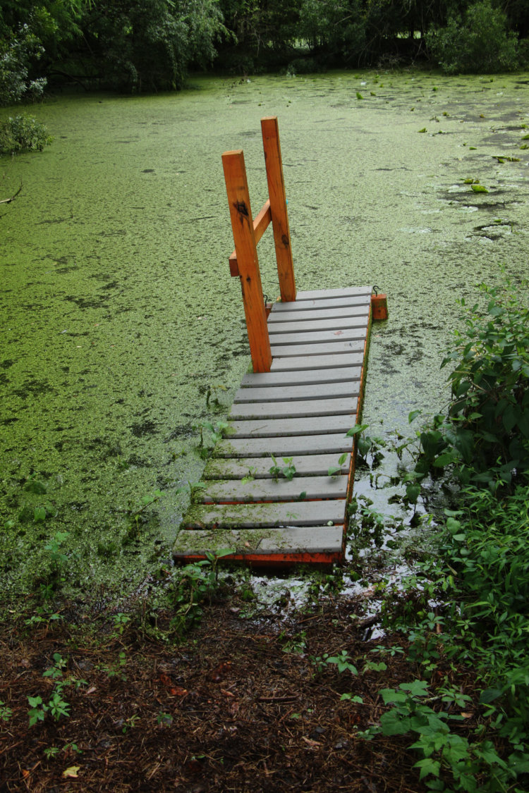 kayak dock close to completely flooded