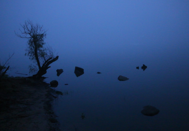 Jordan Lake shoreline before sunrise in dense fog