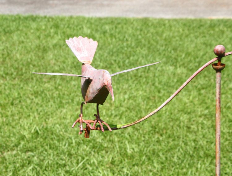 Carolina anole Anolis carolinensis resting in shade under 'claws' of decorative bird sculpture