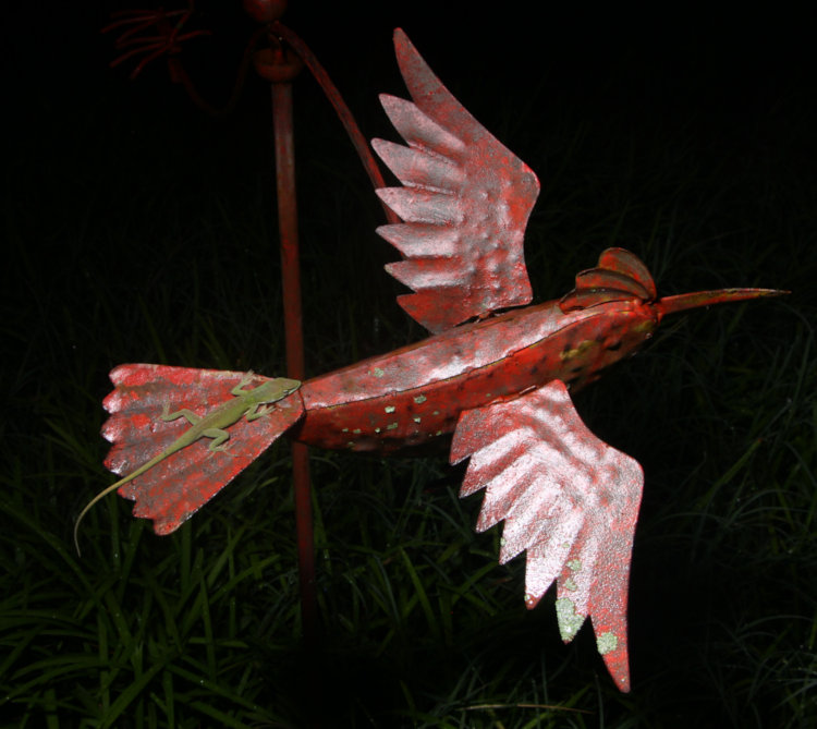 Carolina anole Anolis carolinensis sprawled on tail of metal bird sculpture at night