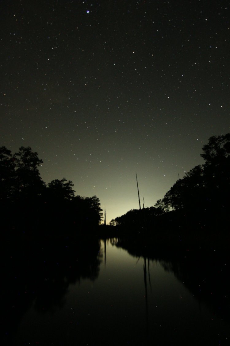 night exposure of branch of inlet near boat dock showing lights of nearby cities