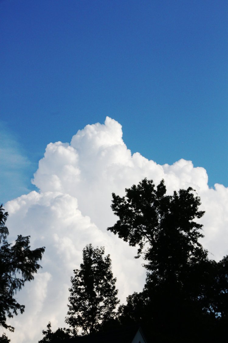 growing cumulonimbus clouds behind trees with deep blue sky