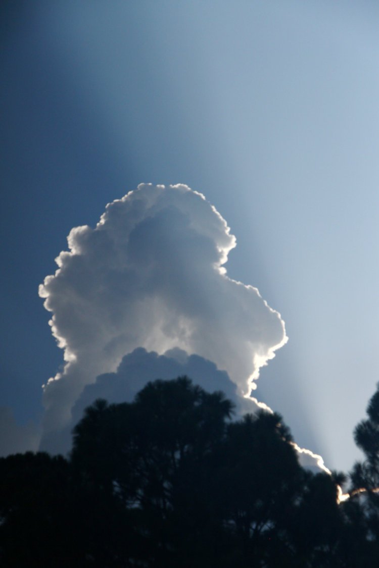 growing thunderhead with crepuscular rays breaking past