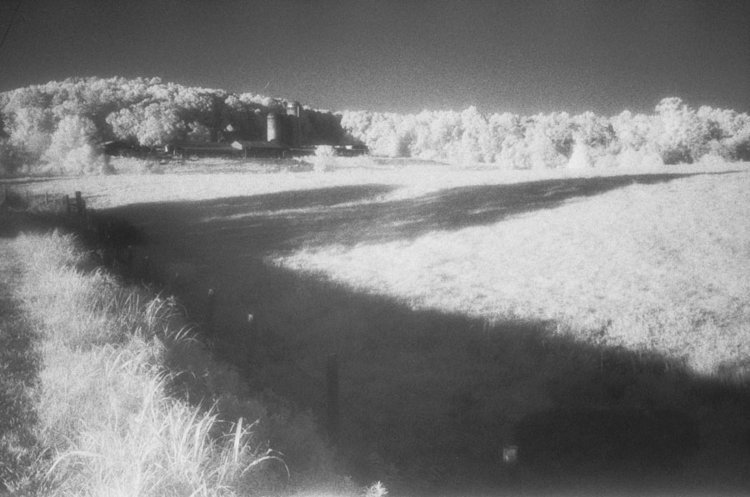 farm scene on infra-red film