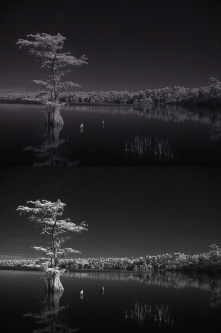 two versions of IR digital at roughly 780nm filtering, one tweaked for better effect