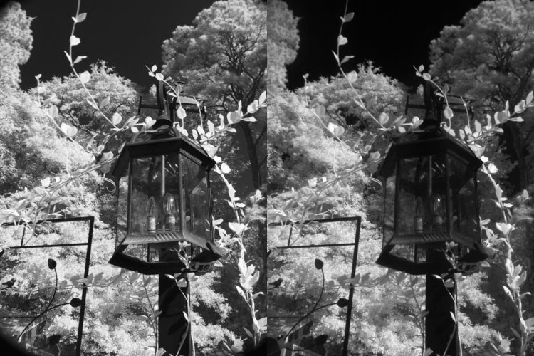 720 and 780nm IR mages converted to greyscale and contrast-enhanced